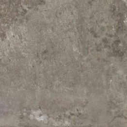 Gạch lát sàn Trường Thịnh GENESIS SERIES BR55E15